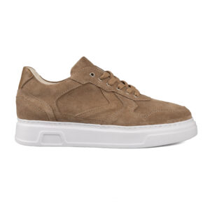 Patika BSH T016